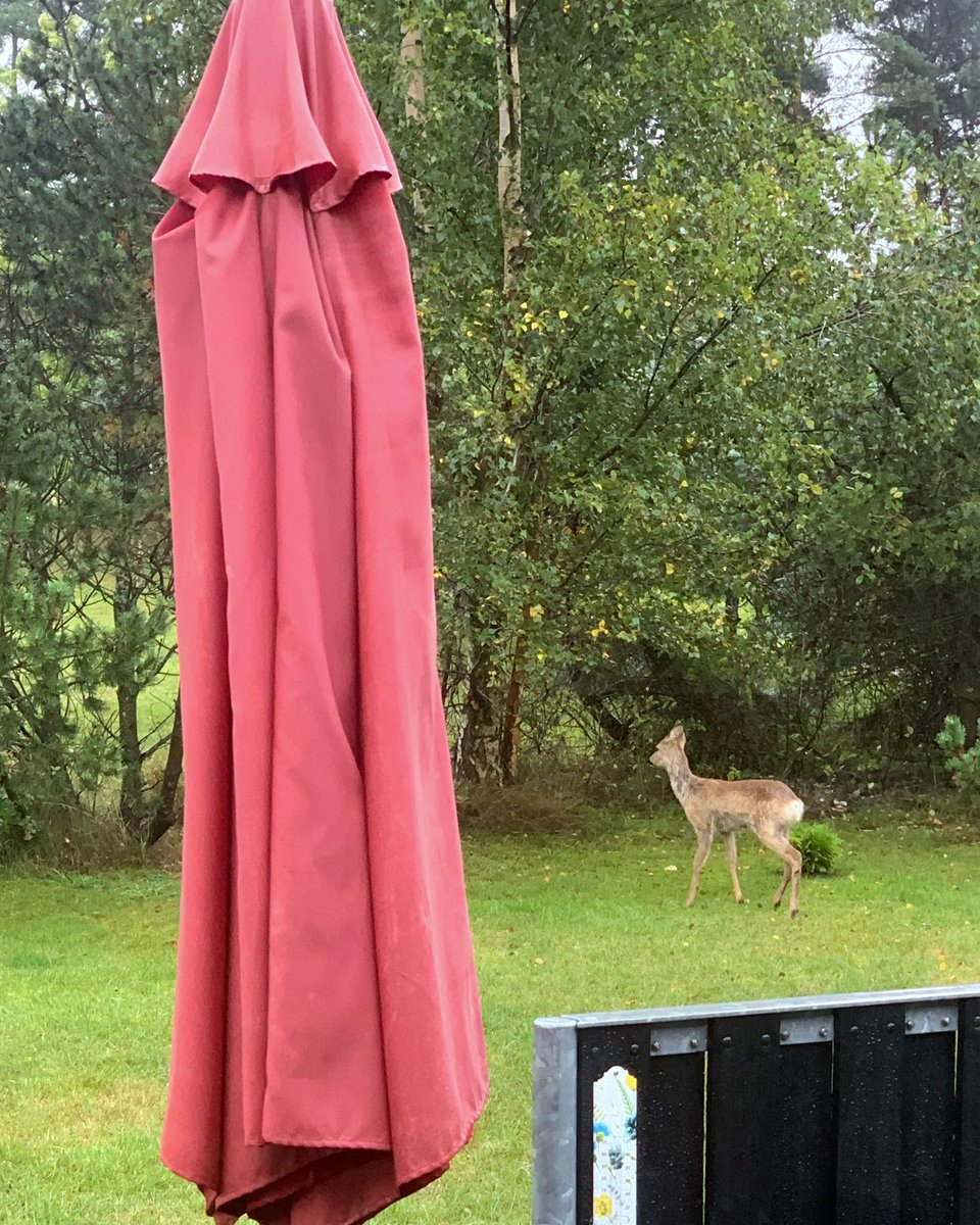 Wir hatten hier gerade eine Begegnu