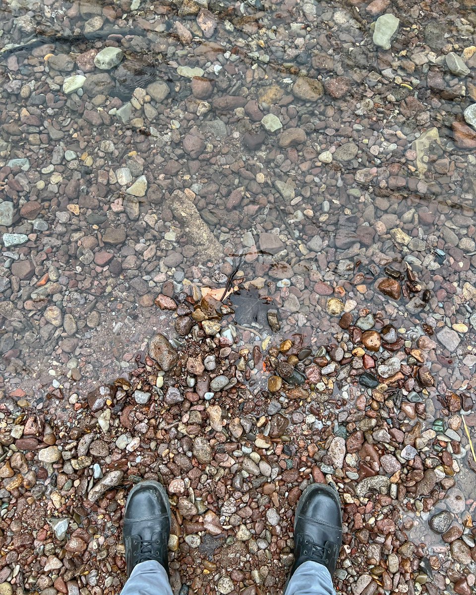 Kaltes klares Wasser #stattfleets 