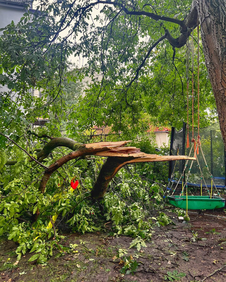 Nein Kai-Uwe, wenn im Sommer alle p